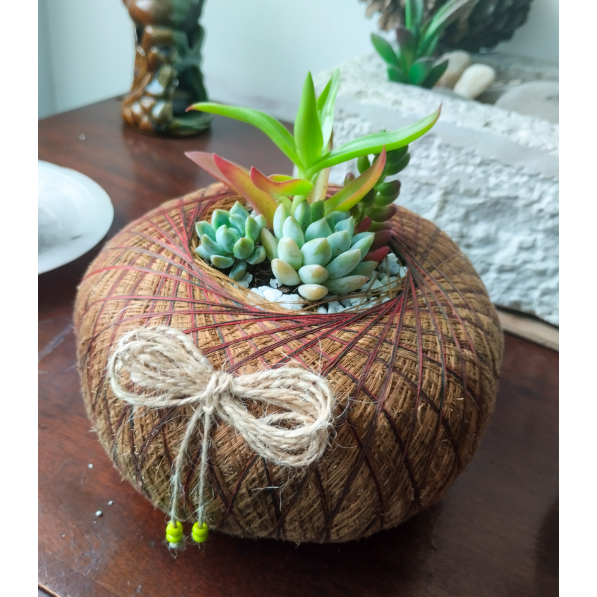 Terrario de Suculentas en Kokedama – Micro-Oasis Artesanal