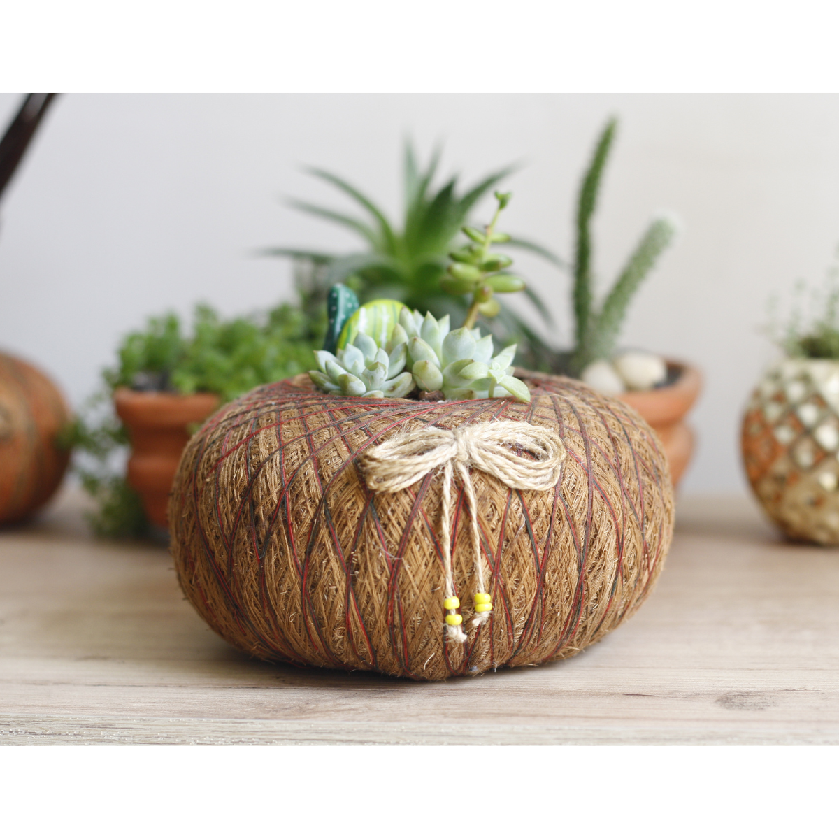 Terrario de Suculentas en Kokedama – Micro-Oasis Artesanal