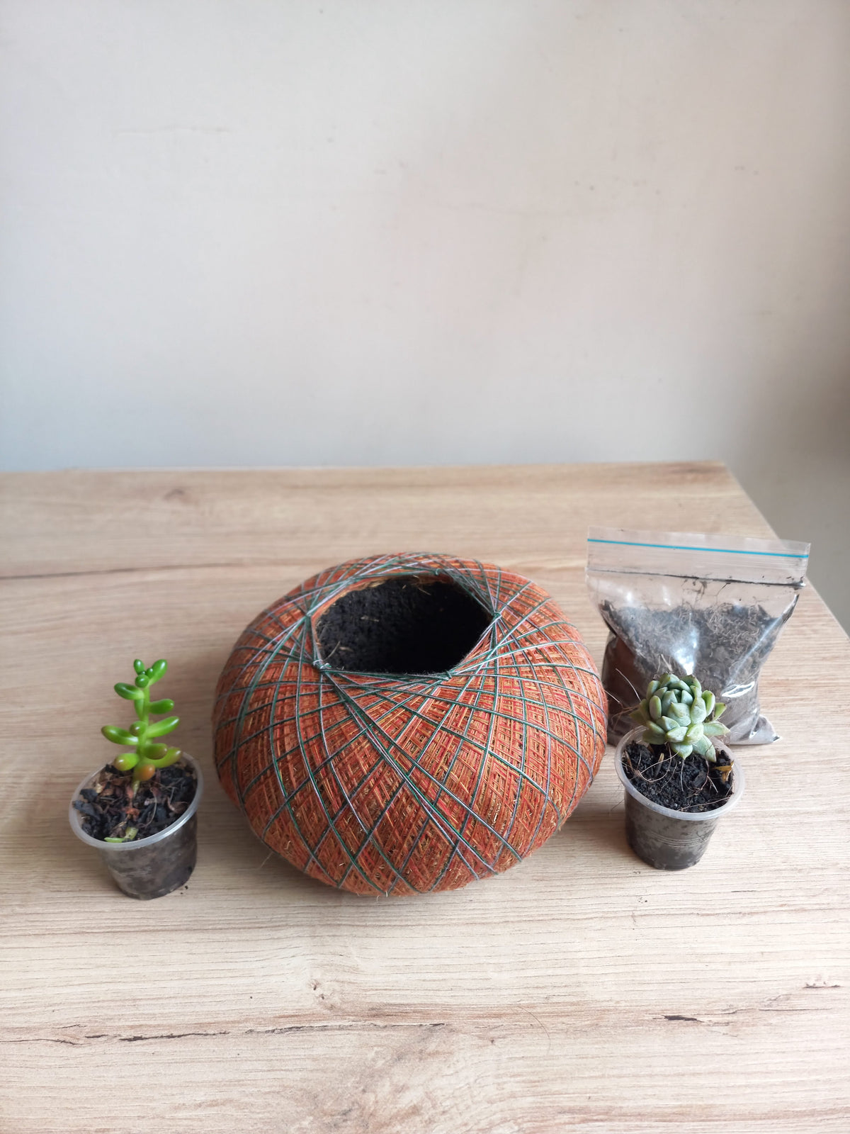 Base de Terrario Kokedama Personalizable – Kit Creativo DIY