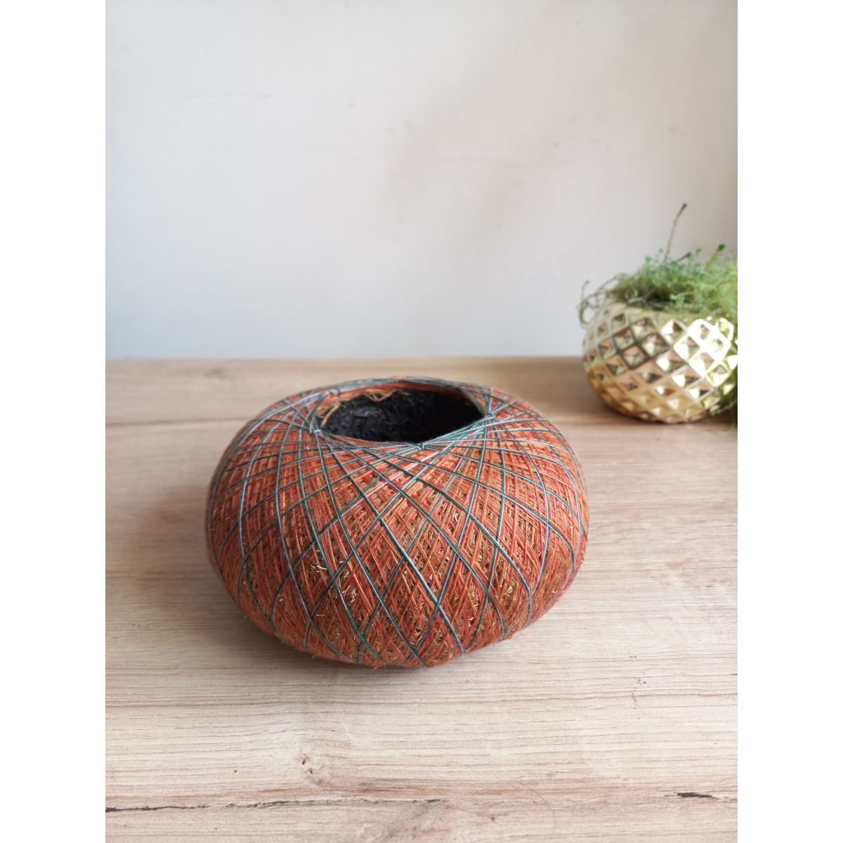 Base de Terrario Kokedama Personalizable – Kit Creativo DIY