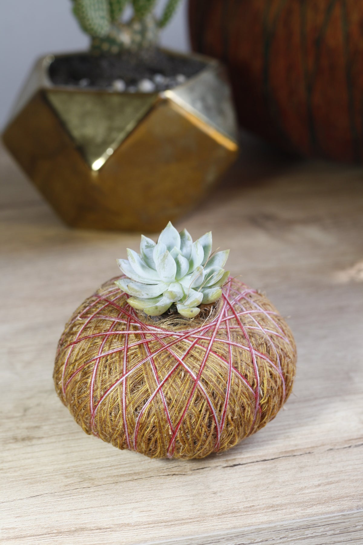 Kokedama de Suculenta pequeña – Planta Artesanal de Fácil Cuidado